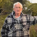 HANDSCOMB: John Henry