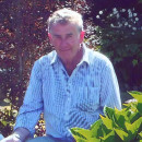 JOHNSTON: Rex Morgan